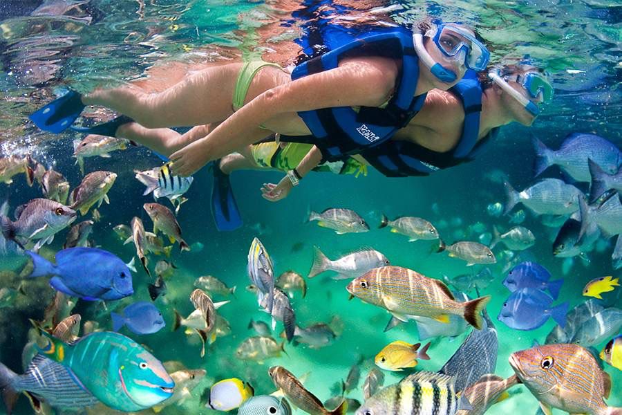 Snorkel